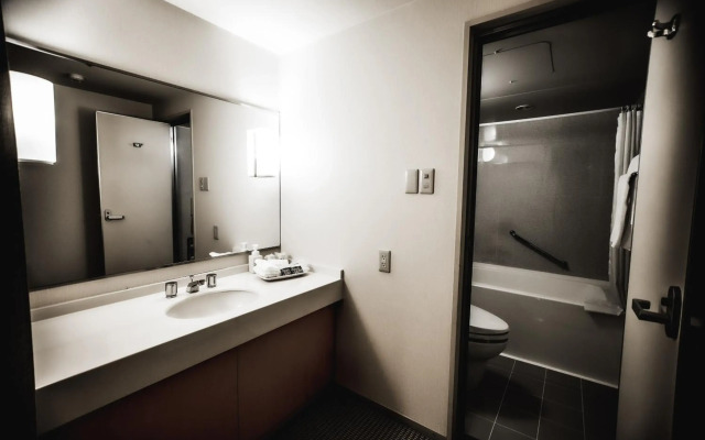 Oarks canal park hotel Toyama