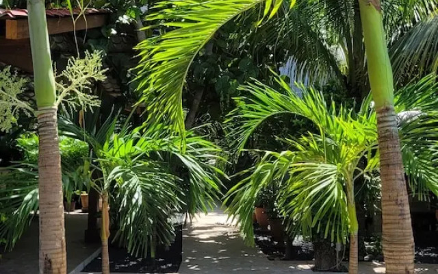 Green Oasis Hotel