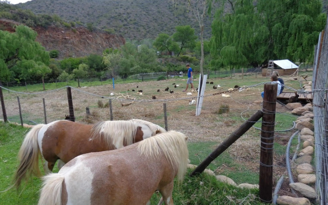 De Oude Meul Country Lodge