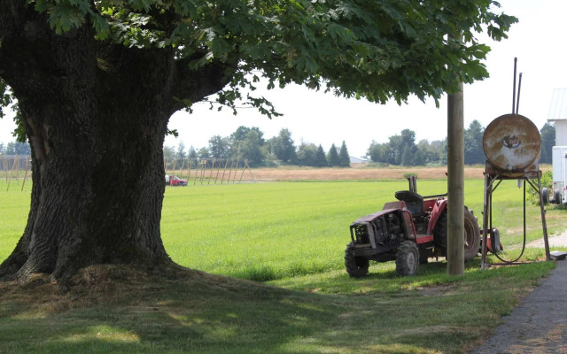Country Charm Bed & Breakfast
