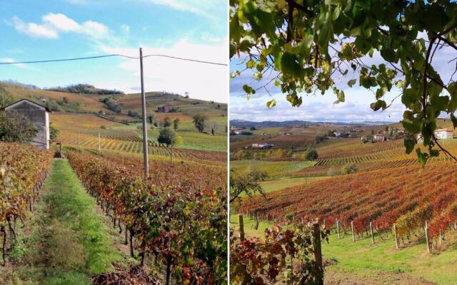 AMAZING LANGHE AND MONFERRATO | House with garden