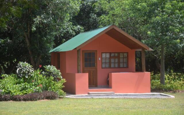 Bushbaby Lodge