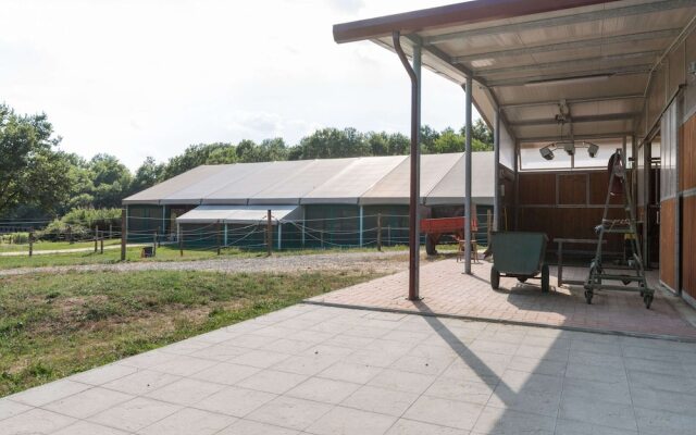 Tranquil Farmhouse in Terranova Bracciolini near Nightlife