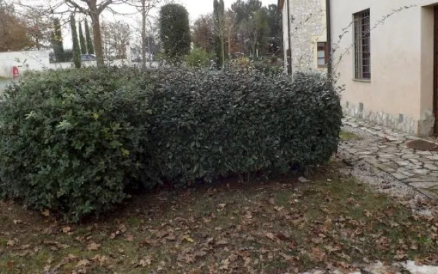 Residence Borgo Alto