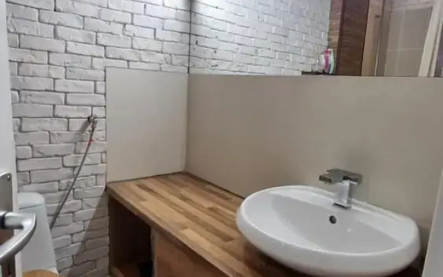 Central Apartment Shishman