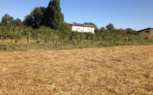 Agriturismo Arcadia