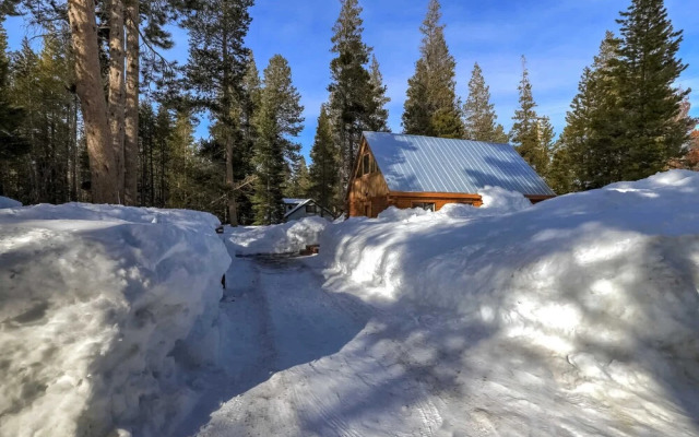 Augies Authentic Log Cabin! Pets Welcome!