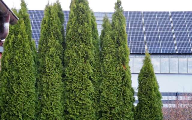 Apartment Captain's Terrace