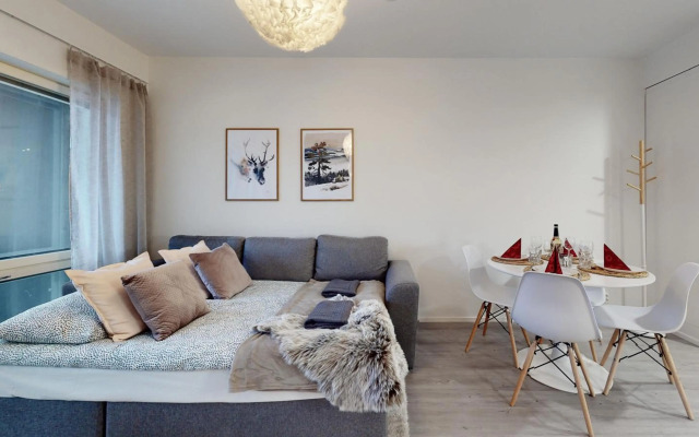 Apartment Scandinavia IV