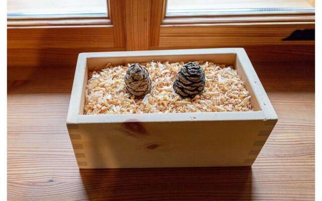 Infanglalm "attersee"