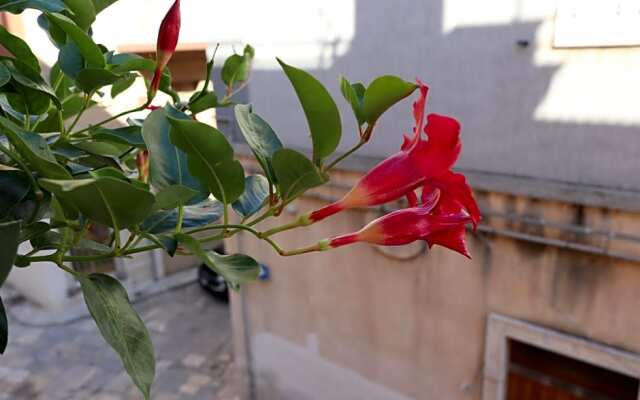 B&B Casa Antica