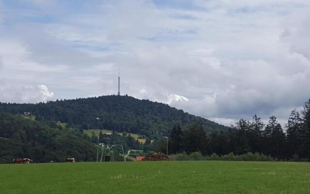 Ferienbungalow Sonnenwald Bayerischer Wald