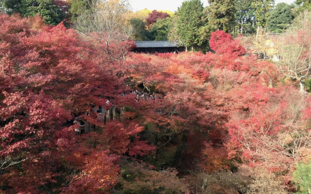 Tsumugi Inarisandomae