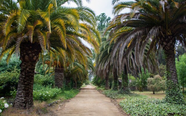 Hacienda Histórica Marchigüe