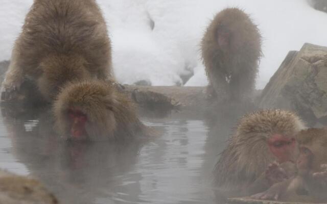 Denshukan Toraya-No-yu