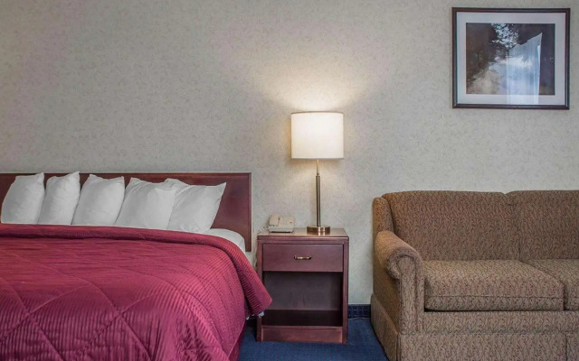 Quality Hotel & Suites