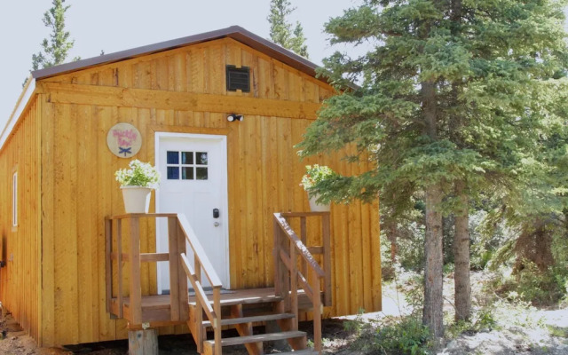 Arctic Dragonfly Inn