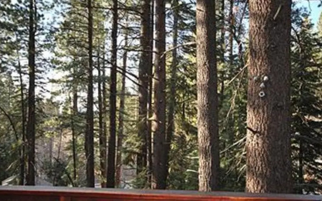 RedAwning June Way Holiday home 2