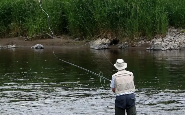 Kirklands Bed & Breakfast