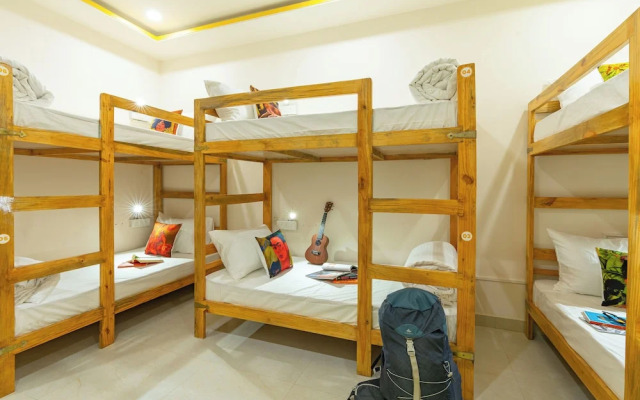 The Social Stays Jaipur