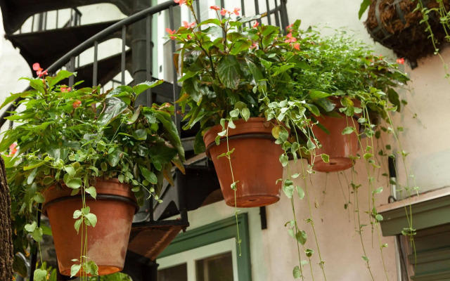 Hotel Le Priori