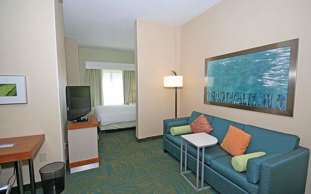 Springhill Suites By Marriott Newnan