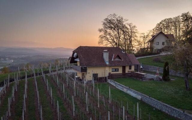 Vineyard Cottage Hocevar