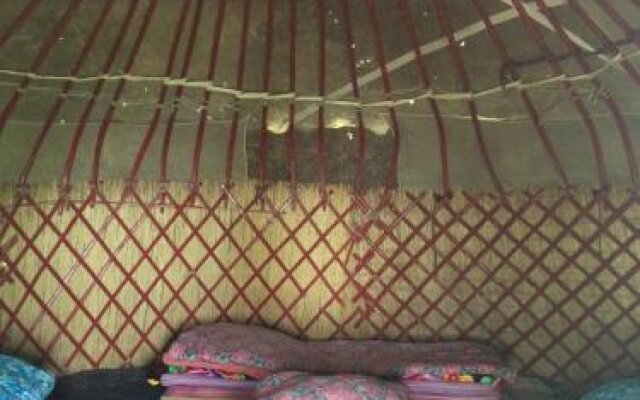 Turkestan Yurt Camp