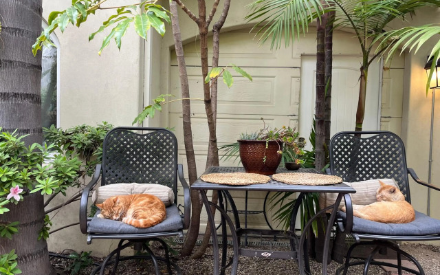 Beverly Hills Spanish Bed and Breakfast