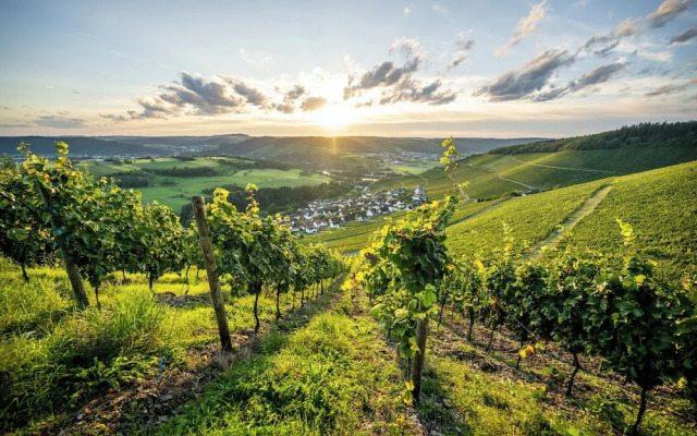 Weinhotel Klostermühle