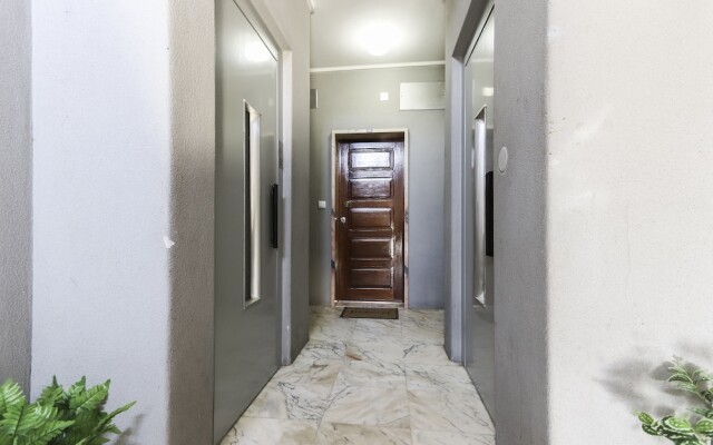 Olaias Classic by Homing