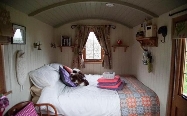 Storws Y Gorlan Shepherd's Hut