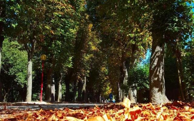 Il Gabbiano Giallo