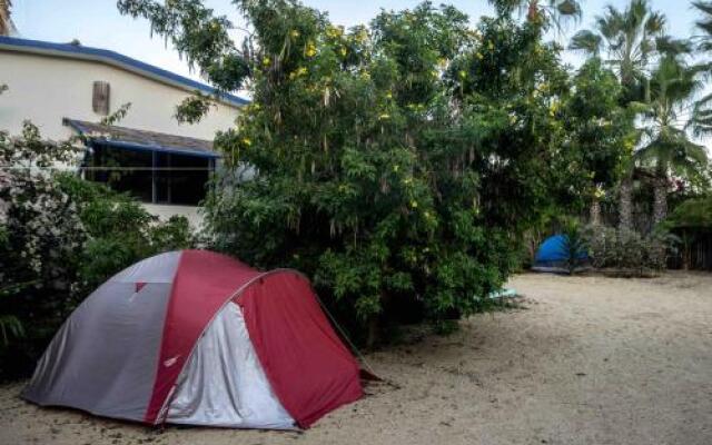 Todos Santos Hostel