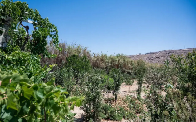 Spilia Suites Hotel Mykonos