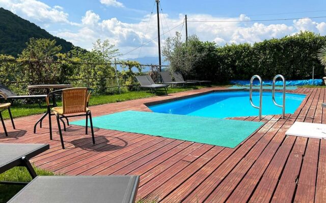 Palazzo dei Ulivi - Lavanda