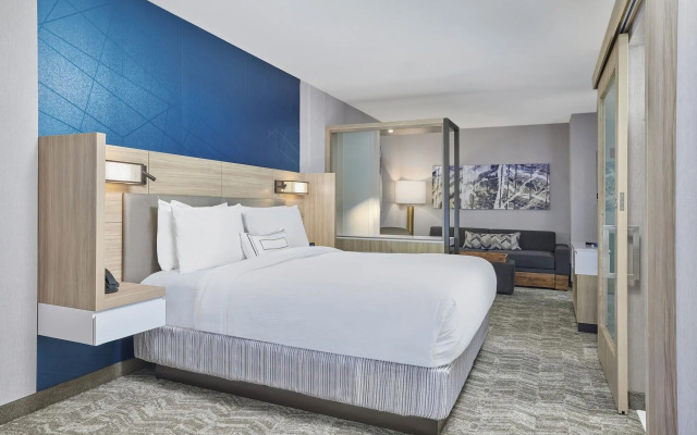 SpringHill Suites by Marriott Chicago Chinatown