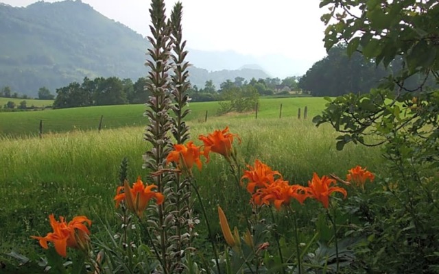 Chambres dHôtes Maison Paillet