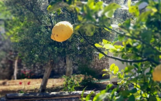 Room in Apartment - Albania Dream Holidays Apartment Ksamil