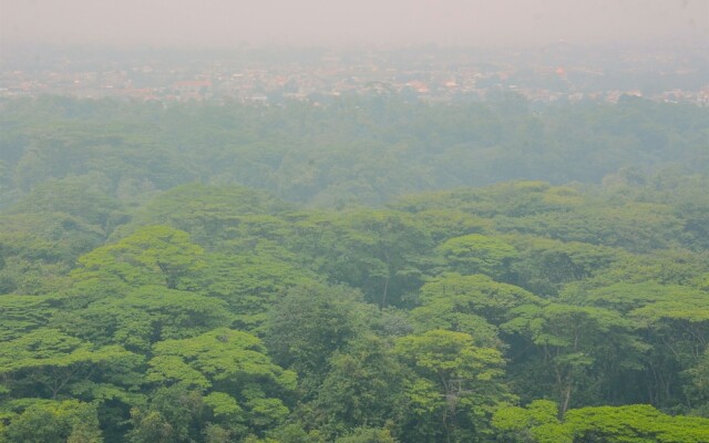 Affordable Price Studio Apartment at Taman Melati Margonda