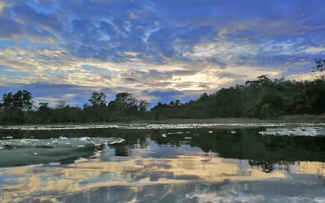 Wichai's Jungle Home Stay