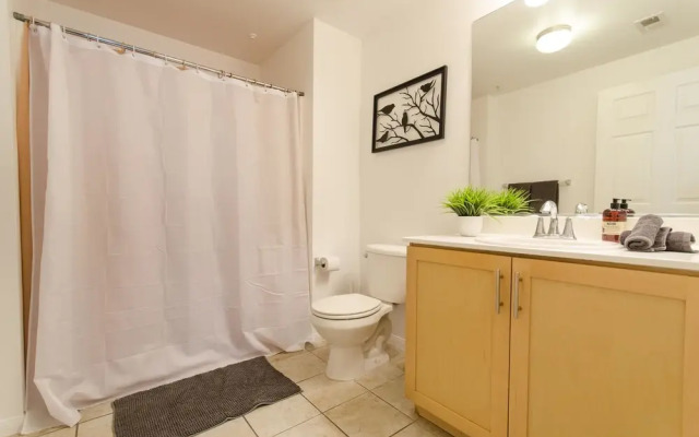 6BD Hollywood Stars Walk of Fame Suite