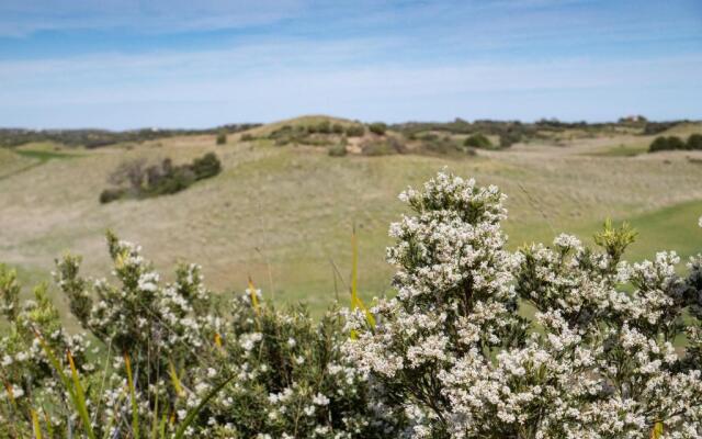 Links Lodge at The Dunes