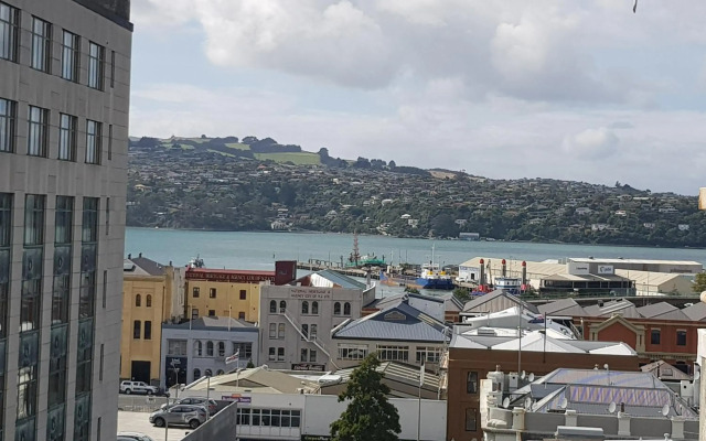 Fable Dunedin