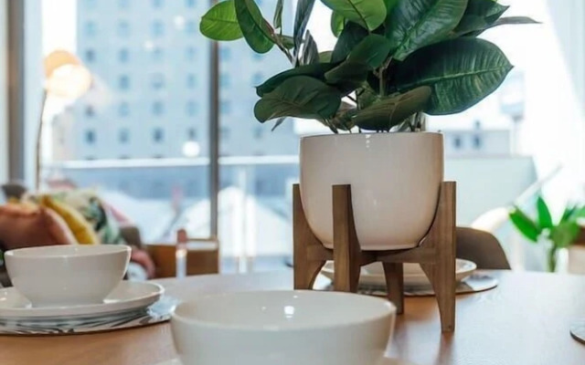 Paradiso on Bent - Netflix - Wifi - City life