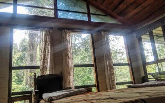 Jungle Jive Treehouse