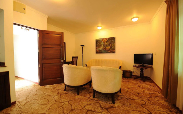 Palms, Mount Lavinia