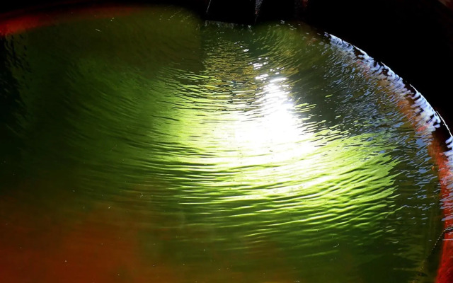Atami Ajiro Onsen Taiseikan