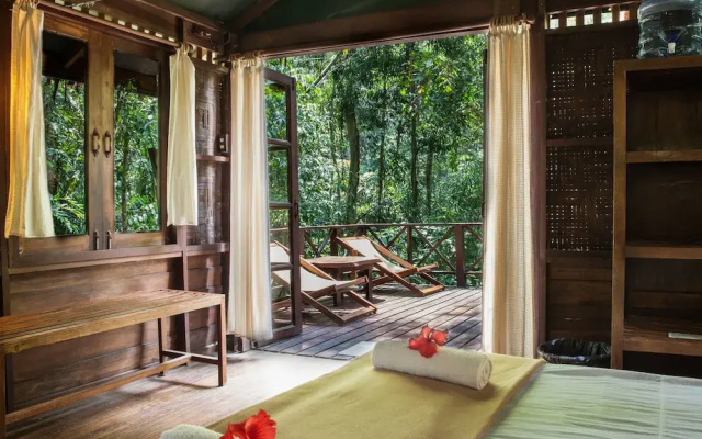 Our Jungle House