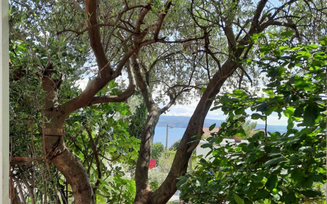 Sea view Nona Apartment